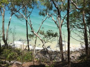 The glorious delights of Noosa National Park