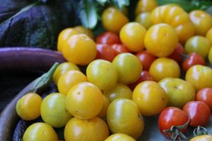 Our favourite plants!
