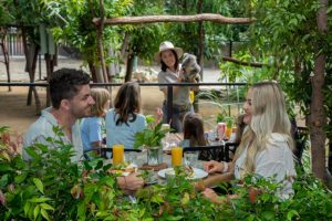 Finding sanctuary at Currumbin