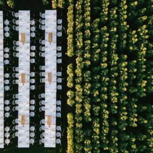 New era blooms for farming couple