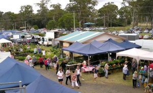 Garden festival goes on