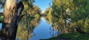 Brush with fame in Western Queensland