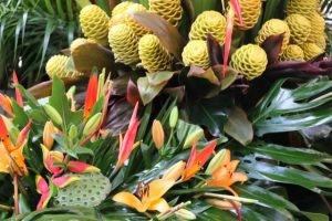 Summer loving plants