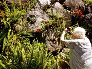 Comlink Australia and UniSC Photo Walks project springs to life