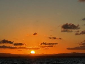Discover the secrets of Moreton Bay