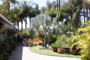 Spring garden festival returns