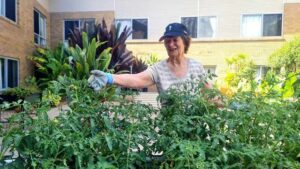 Thank goodness for gardens