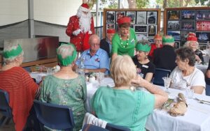 Finding a little Christmas cheer